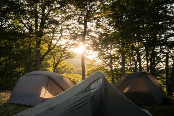 WhatsApp Image 2025-09-24 at 12.52.38 (4)